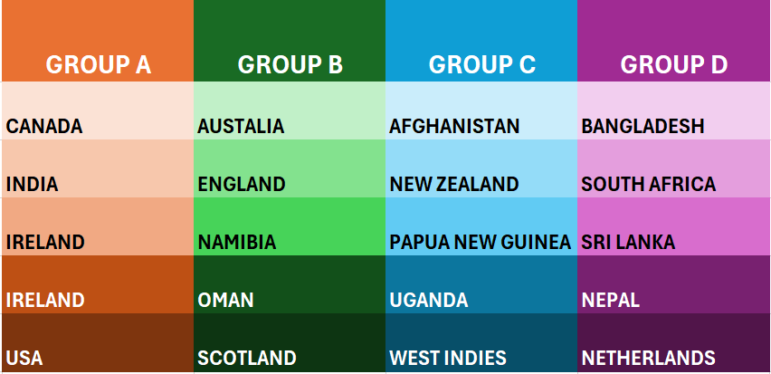 T20 Cup 2024 Teams