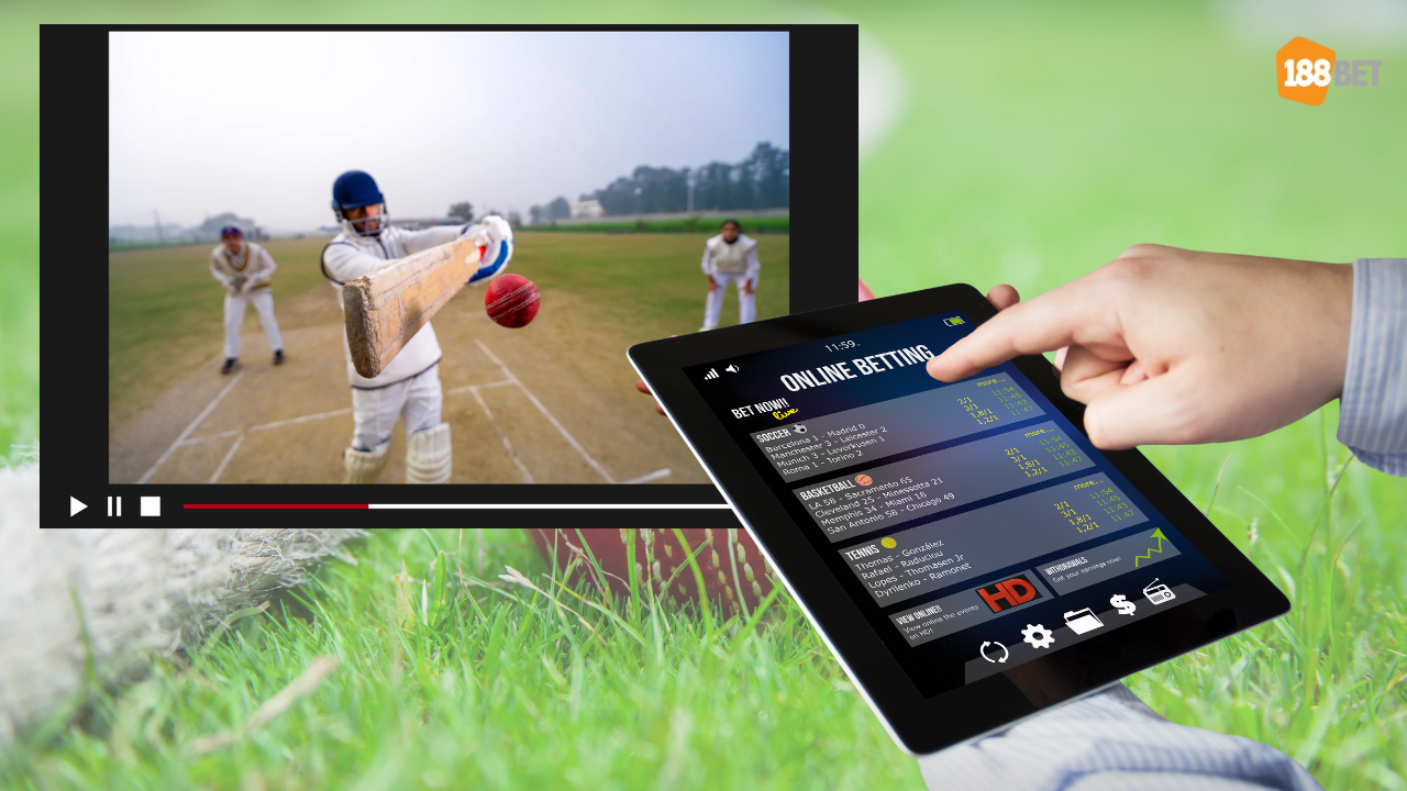 Cricket Match Betting